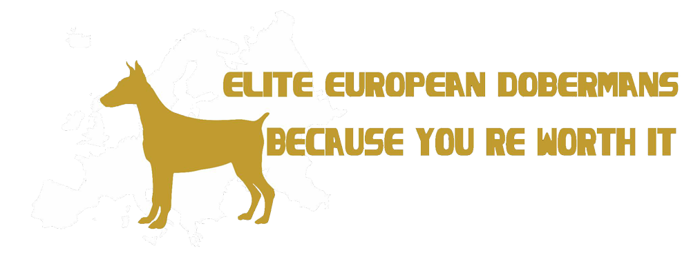 Elite-Doberman-Logo